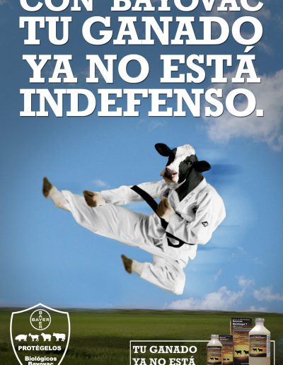 Visual Vaca karateca 01